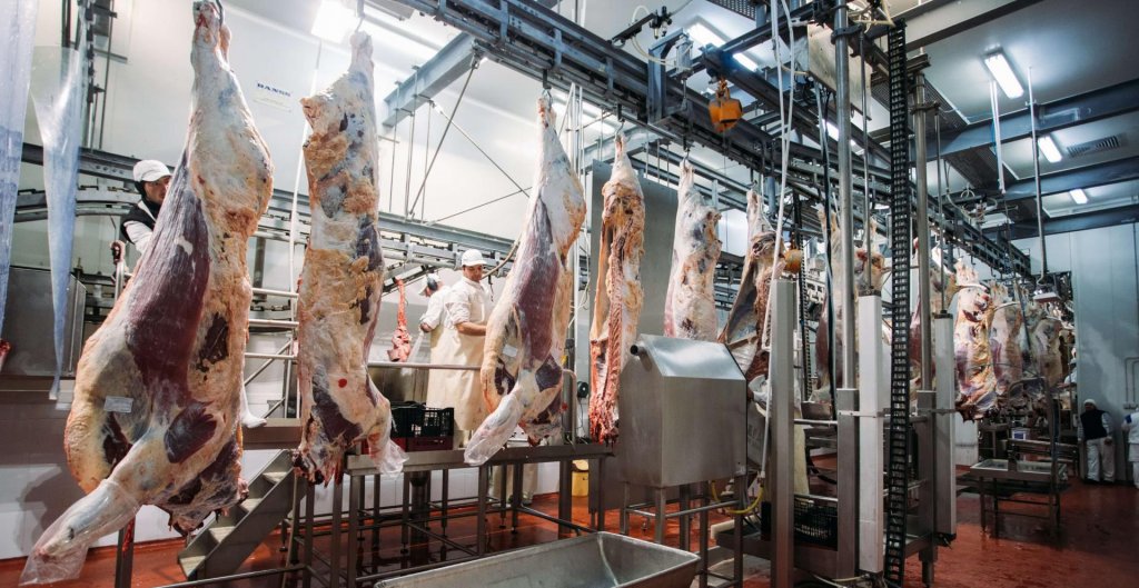 Producătorii avertizează: Urmează creşteri de preţ la carnea de pasăre şi porc