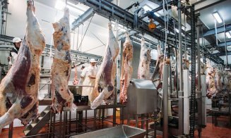 Producătorii avertizează: Urmează creşteri de preţ la carnea de pasăre şi porc