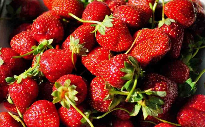 Cea mai delicioasă cură de slăbit. Pierzi 4 kg în doar 7 zile cu dieta cu căpșuni