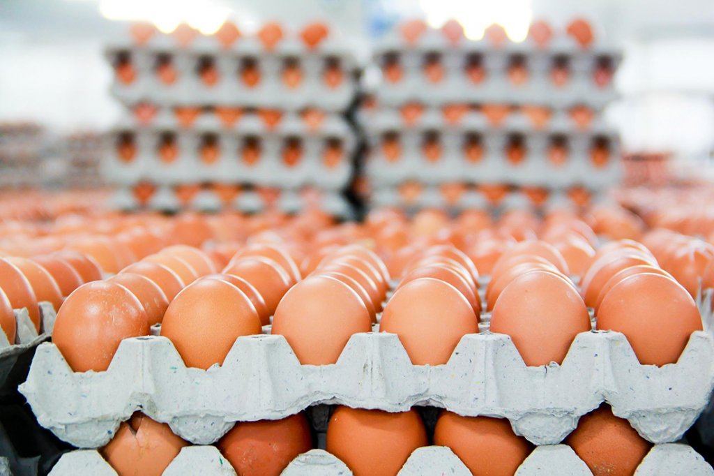 Tone de alimente și peste 70.000 de ouă, retrase de la vânzare