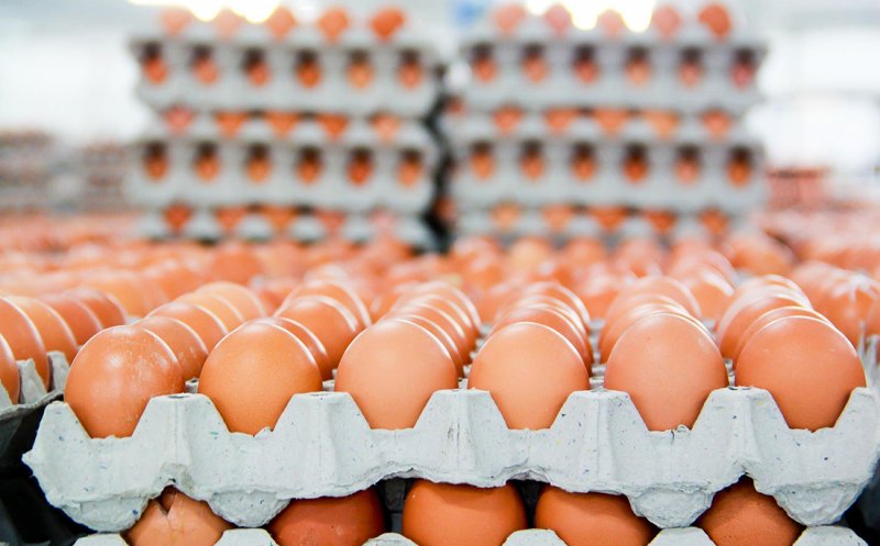 Tone de alimente și peste 70.000 de ouă, retrase de la vânzare