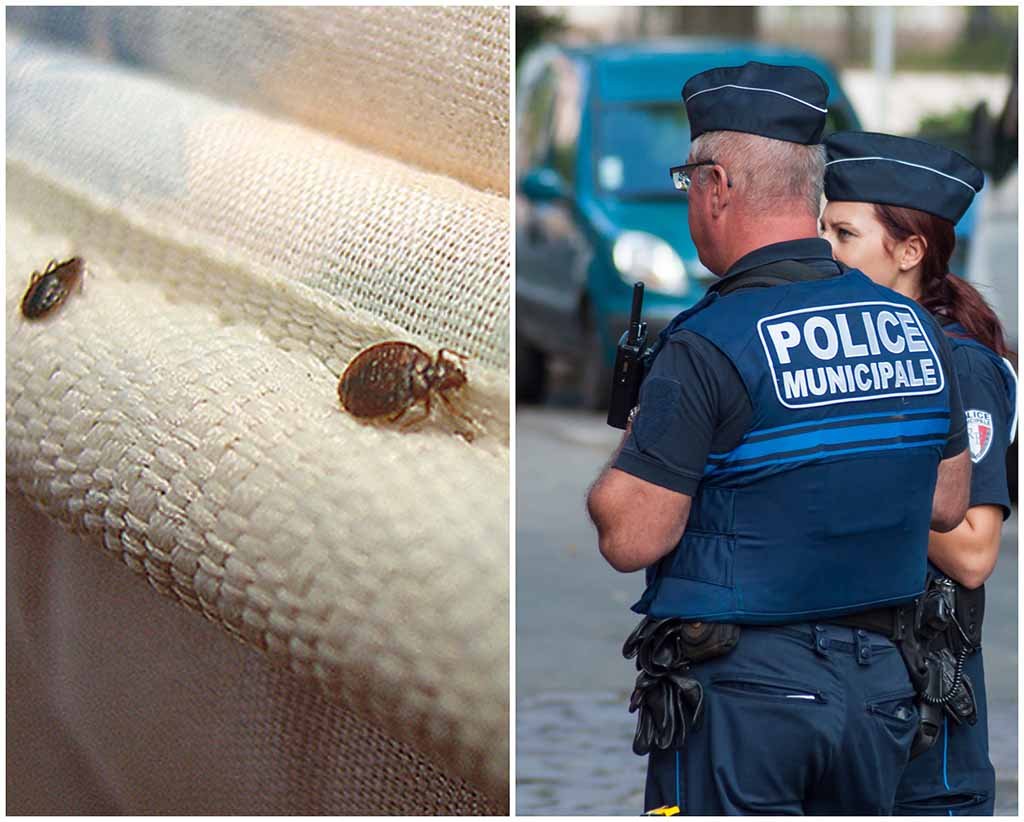 Secţie de poliţie, închisă din cauza unei invazii de purici