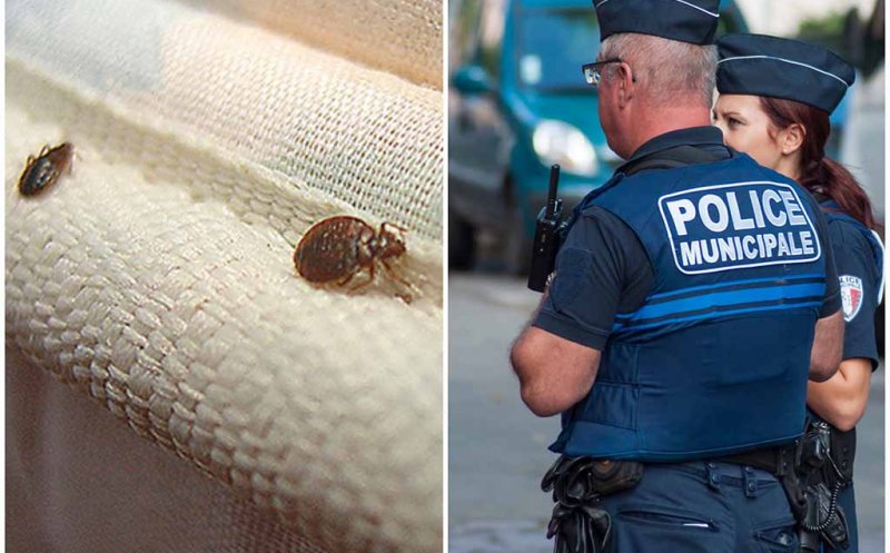 Secţie de poliţie, închisă din cauza unei invazii de purici