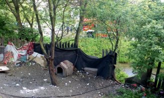 Incendiu în Grigorescu. Focul a pornit de la o baracă improvizată