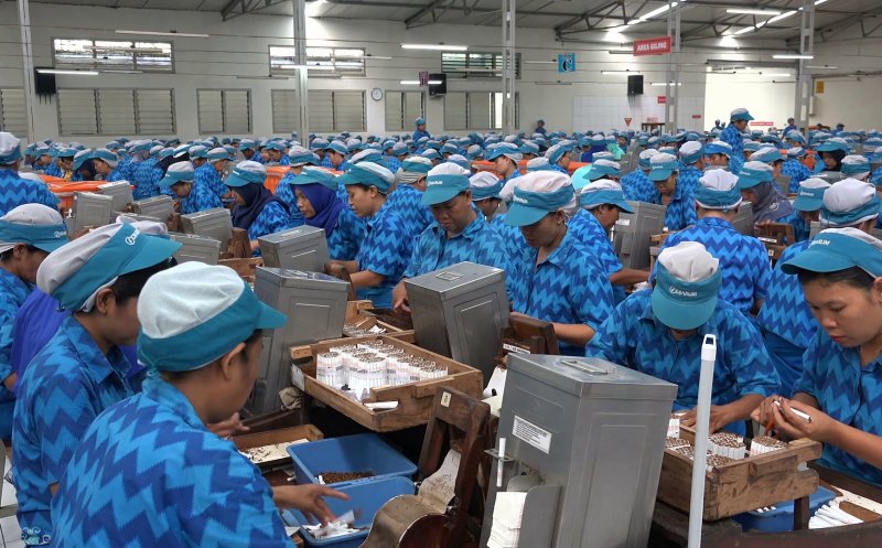 Un deputat clujean lovește în granzii tutunului. Ofensivă împotriva “industriei care promovează otrava”