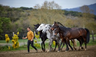 Salina Equines Horse Trophy, cel mai așteptat eveniment hipic în Transilvania!