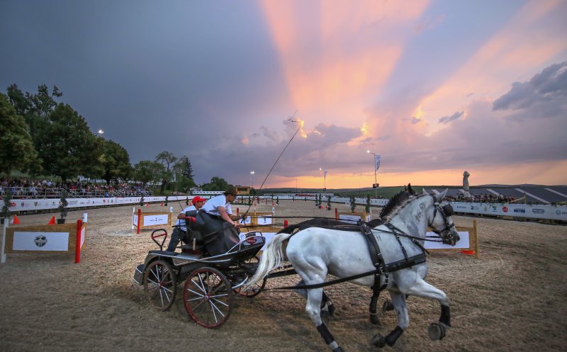 Salina Equines Horse Trophy, cel mai așteptat eveniment hipic în Transilvania!