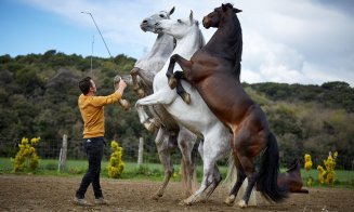 Salina Equines Horse Trophy, cel mai așteptat eveniment hipic în Transilvania!