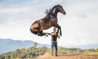 Show-uri ecvestre, în premieră în România, la Salina Equines Horse Trophy 2018. Invitat special, cascador în Mission Impossible și Hunger Games