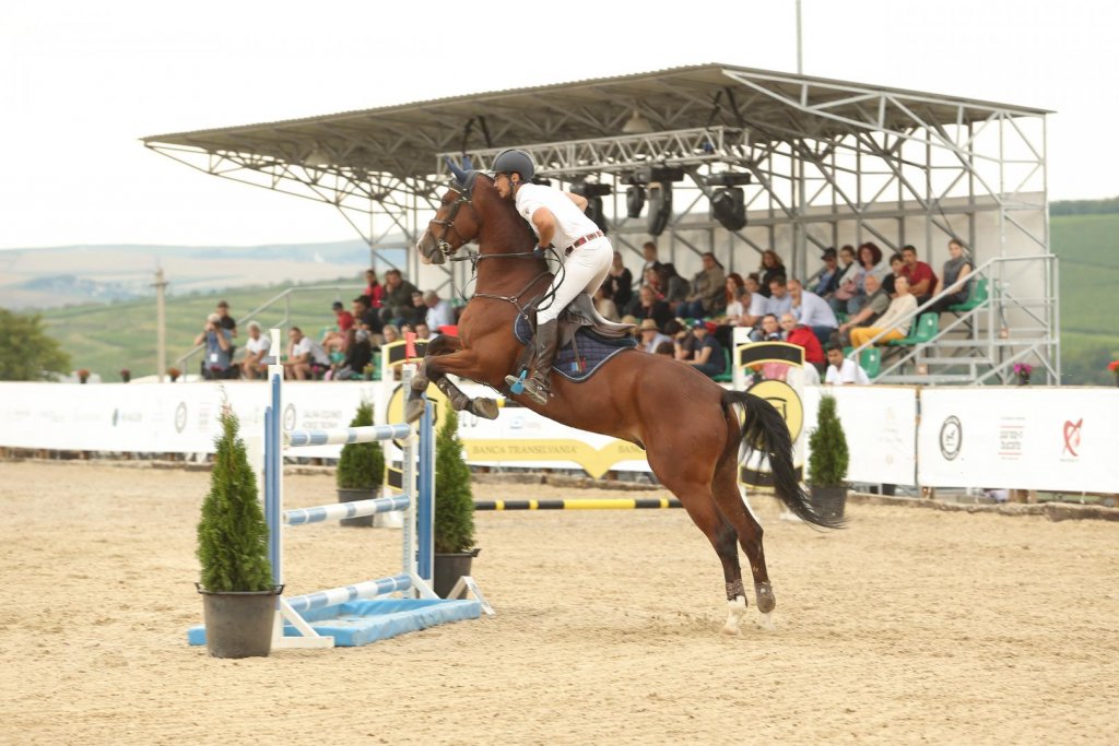 Probe spectaculoase, dresaj și show-uri ecvestre cu Miron Bococi. În weekend are loc Salina Equines Horse Trophy