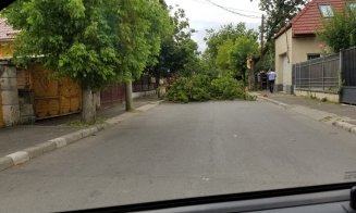 Furtuna a făcut ravagii în Cluj