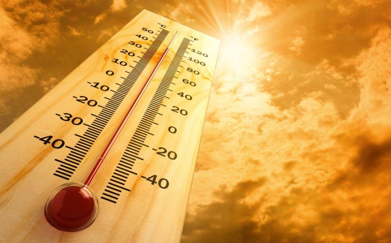 Canicula face ravagii în Europa. Cod roşu în Franţa, recorduri de temperatură în Germania, Polonia şi Cehia