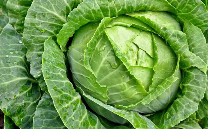 Supa de varză, super sănătoasă: te ajută să slăbeşti, detoxifică şi întăreşte organismul