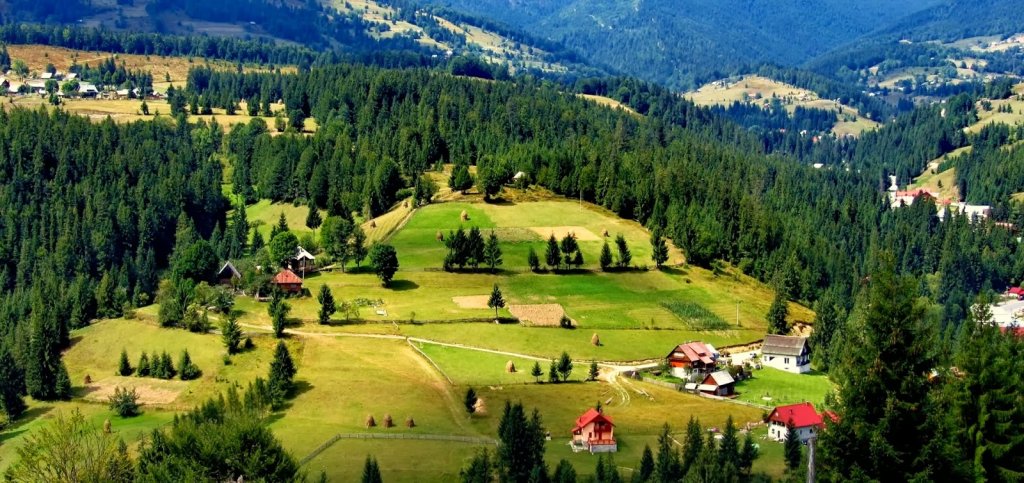 A apărut harta digitală a parcurilor naționale și naturale din România. Clujul, într-un parc de 75.000 ha