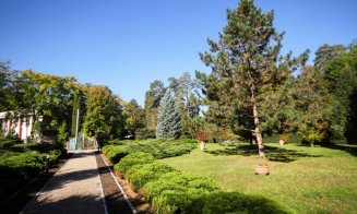 Clujul ar putea avea încă 400 de hectare de spații verzi. Universitățile trebuie să își dea acordul