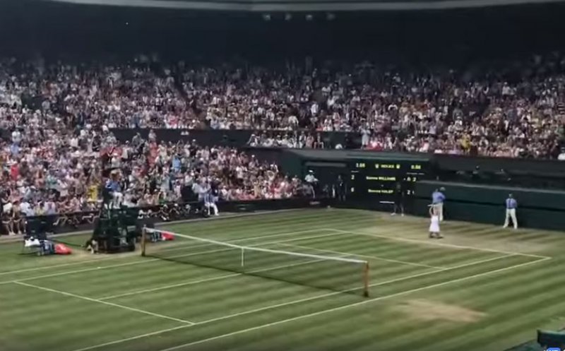 Boc, din tribuna de la Wimbledon: "Am trăit momente unice"