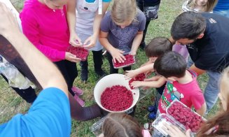 "Plaiuri Noi" redă viaţă satelor din Cluj / Au stârnit interesul cu picnicuri în livezi şi ferme, dar "coc" primul brand de microregiune