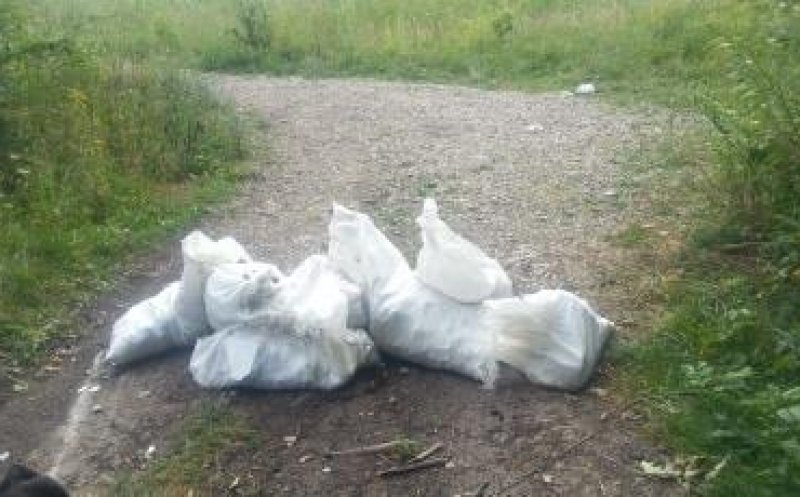 Peste 350 de rampe clandestine de gunoi în Cluj-Napoca, în prima jumătate a lui 2019