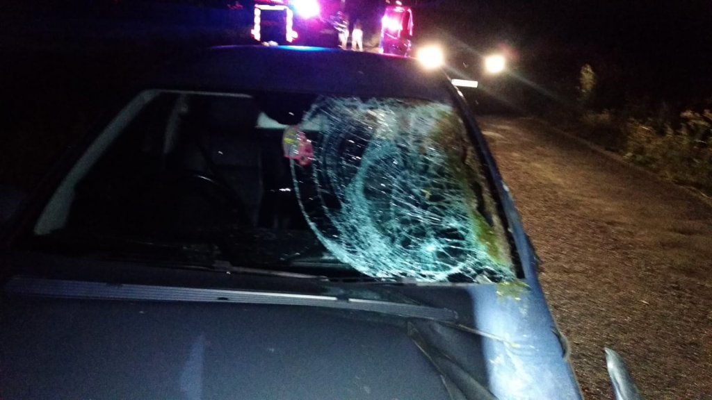 Accident cu doi răniți și un cal mort, în Luna de Jos
