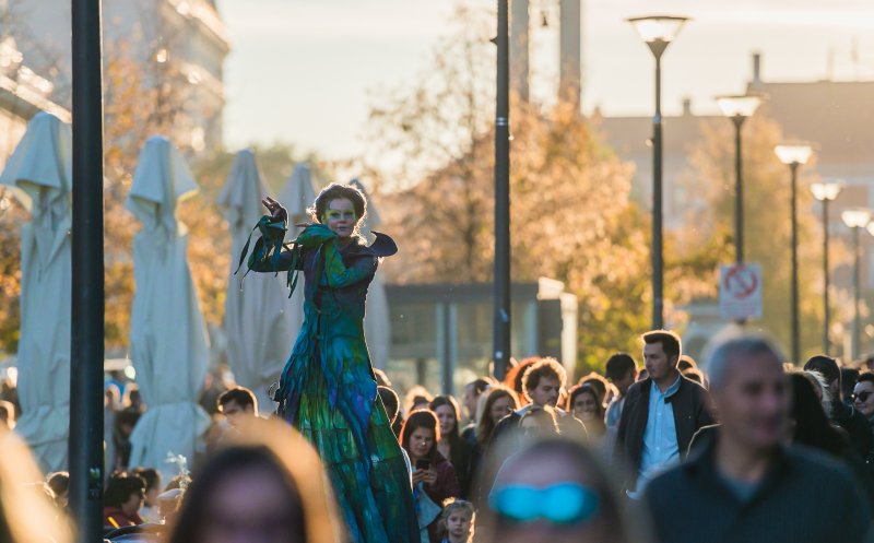 Arta iese în stradă la Cluj și Iași