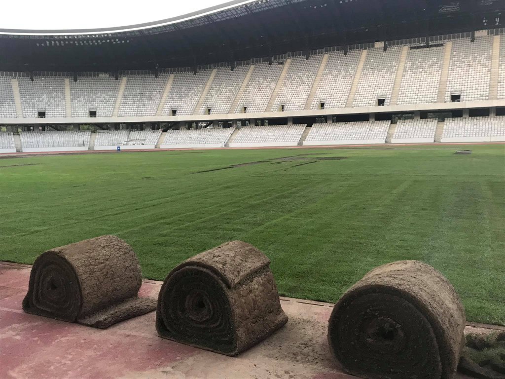Verde în Parcul Central şi pe Cluj Arena. Lucrările după Untold sunt pe final