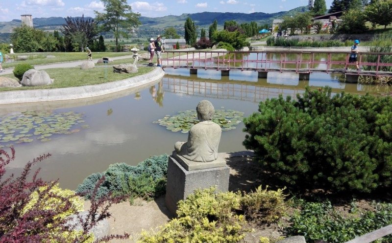 Artiștii clujeni expun în Grădina Botanică din Jibou