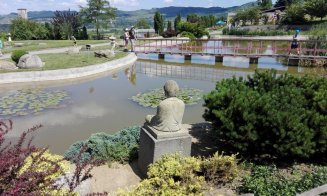 Artiștii clujeni expun în Grădina Botanică din Jibou