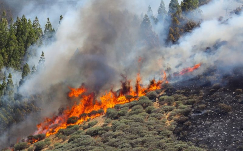 Avertisment de călătorie MAE. Incendiu în Gran Canaria