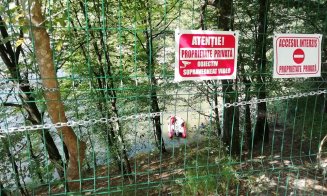 Un deputat cere interzicerea bărcilor, skyjet-urilor şi hidroavioanelor de pe lacul Tarniţa.  "Poluează apa de unde bem"