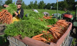 "Asistăm la un schimb de generații în agricultura Transilvaniei"