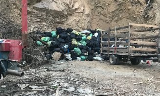 Mizeria de la Tarnița. 1.200 de saci de deșeuri strânși într-o zi