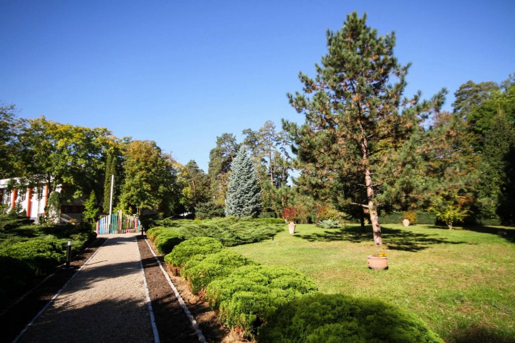 Clujenii vor acces liber în Parcul "Babeș"