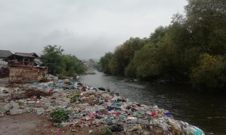 Deputat de Cluj, către primarul din Florești: "Nu îți e rușine, Șulea?!". Malurile Someșeului, încă pline de gunoaie