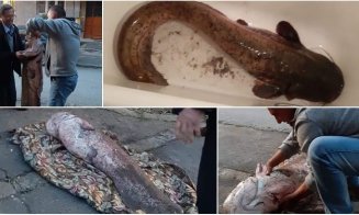 Un pescar din Ardeal a prins un "monstru" de 40 de kilograme