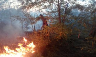 Accident teribil la Cluj. O femeie a ars de vie pe câmp