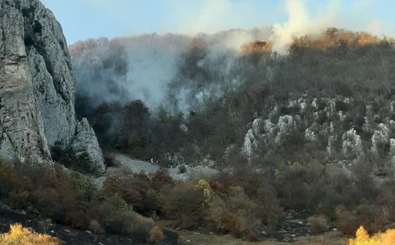 Dezastru în Apuseni. Un incendiu puternic mistuie zone întinse de pădure