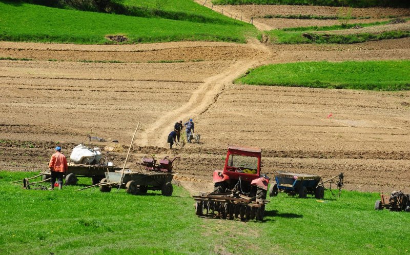 Clujul are o agricultură simbolică în România