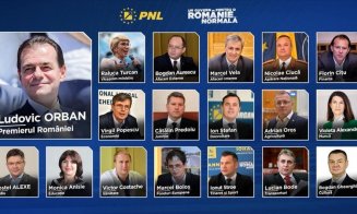 Continuă audierile în Comisii ale miniştrilor propuşi în Guvernul Orban. Cei doi clujeni, aviz pozitiv