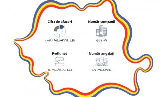 Clujul deține doar 4% din afacerile nefinanciare ale României