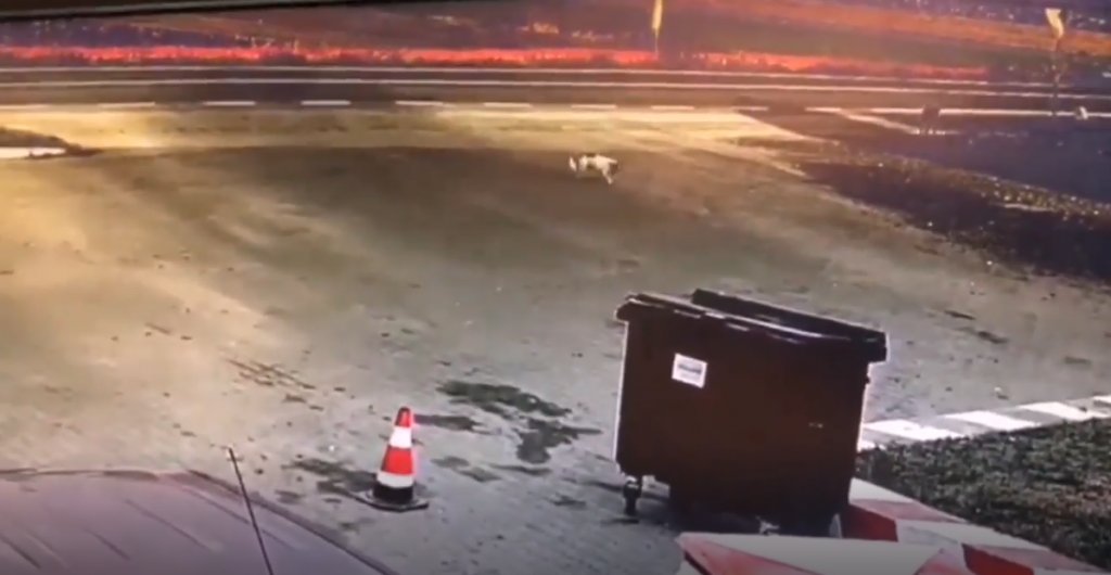 Accidentul mortal de la Cornești. VIDEO cu momentul în care camionul izbește mașina