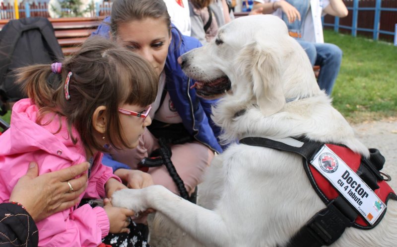 Copiii dependenți de dializă fac terapie cu câini la Cluj-Napoca