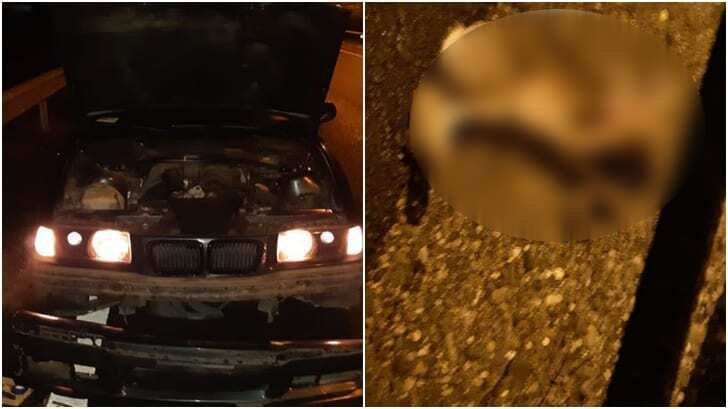 Accident pe Autostrada Transilvania, după ce un iepure a sărit în faţa unui BMW. Lipsea gardul de protecție