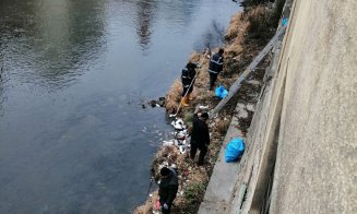 Ce au mai ”pescuit” angajații de la Ape din Someș în zona podului Traian