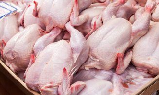 Cât de periculoase sunt chimicalele ascunse din carnea de pui