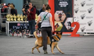 Câinii au făcut show la Polivalentă