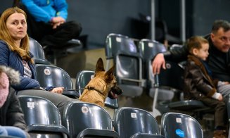 Câinii au făcut show la Polivalentă