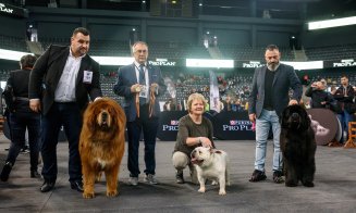 Câinii au făcut show la Polivalentă
