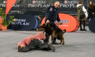 Câinii au făcut show la Polivalentă