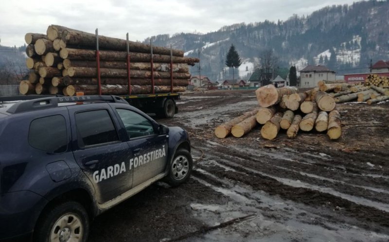 Garda Forestieră Cluj a descins în Apuseni. Două companii amendate