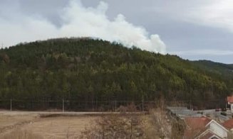 Incendiu în Făget